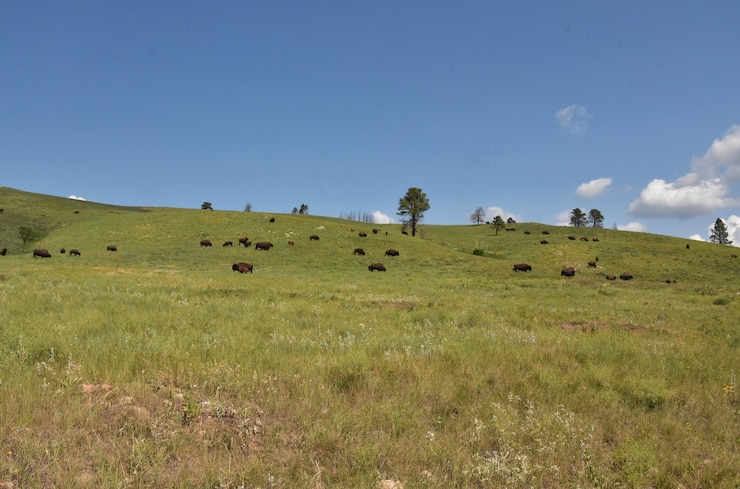 Terrenos em Dois Irmãos